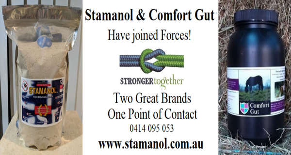 Stamanol/Comfort Gut gift card  $50, $100, $200